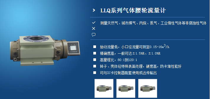 氣體羅茨流量計(jì)